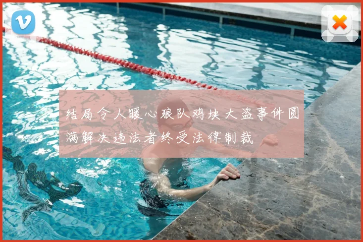 结局令人暖心狼队鸡块大盗事件圆满解决违法者终受法律制裁